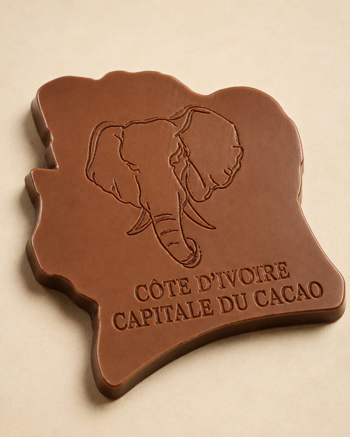 Réalisation de moule et création en chocolat personnalisée 60